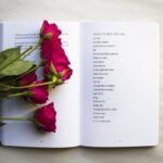 25 Poemas de la Vida (para pensar y reflexionar)